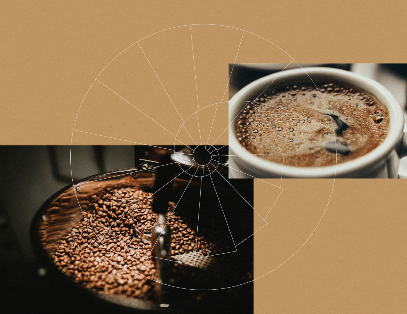 Pâye coffee roaster