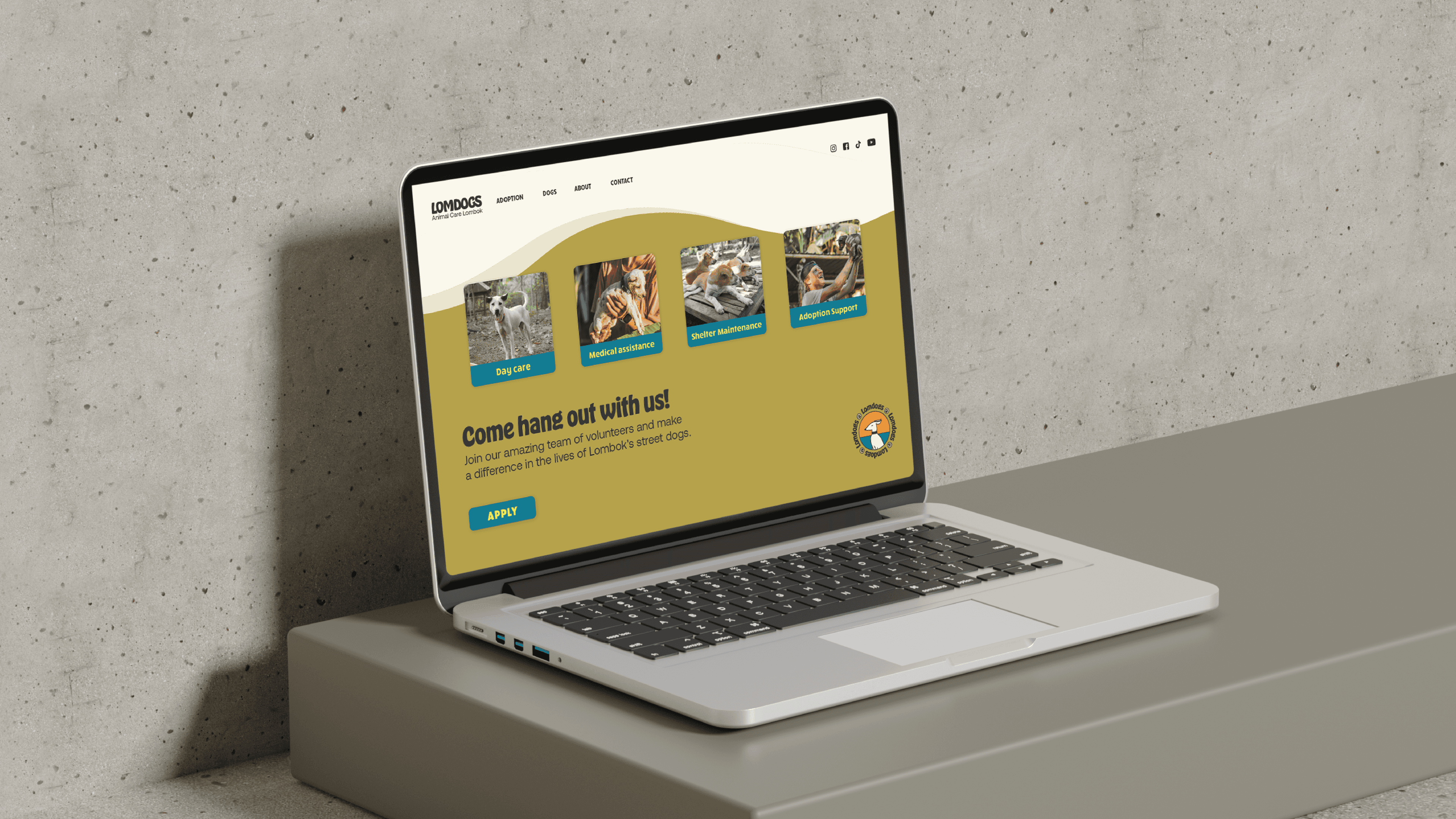 Lomdogs website on laptop
