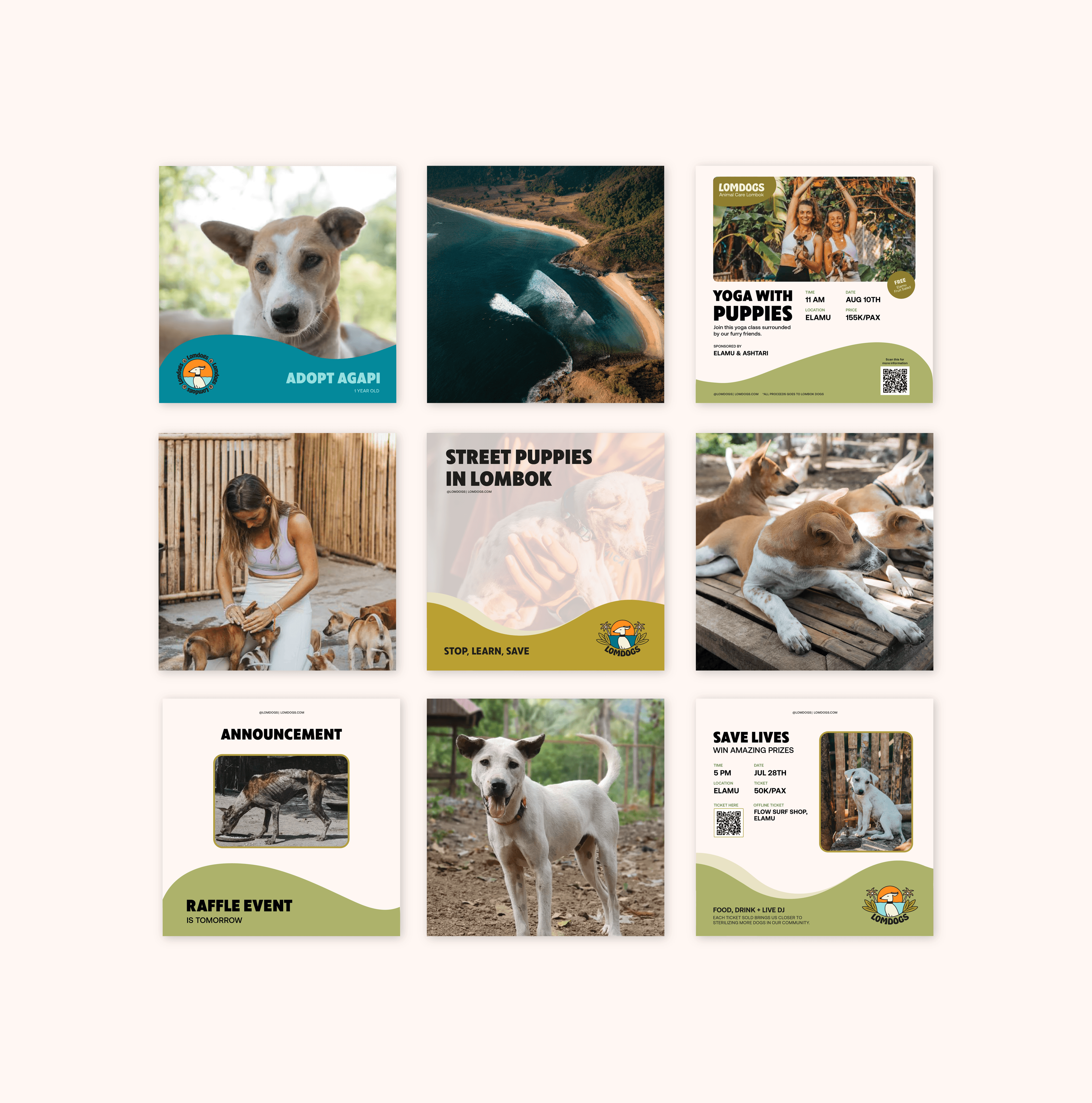 Lomdogs social media grid
